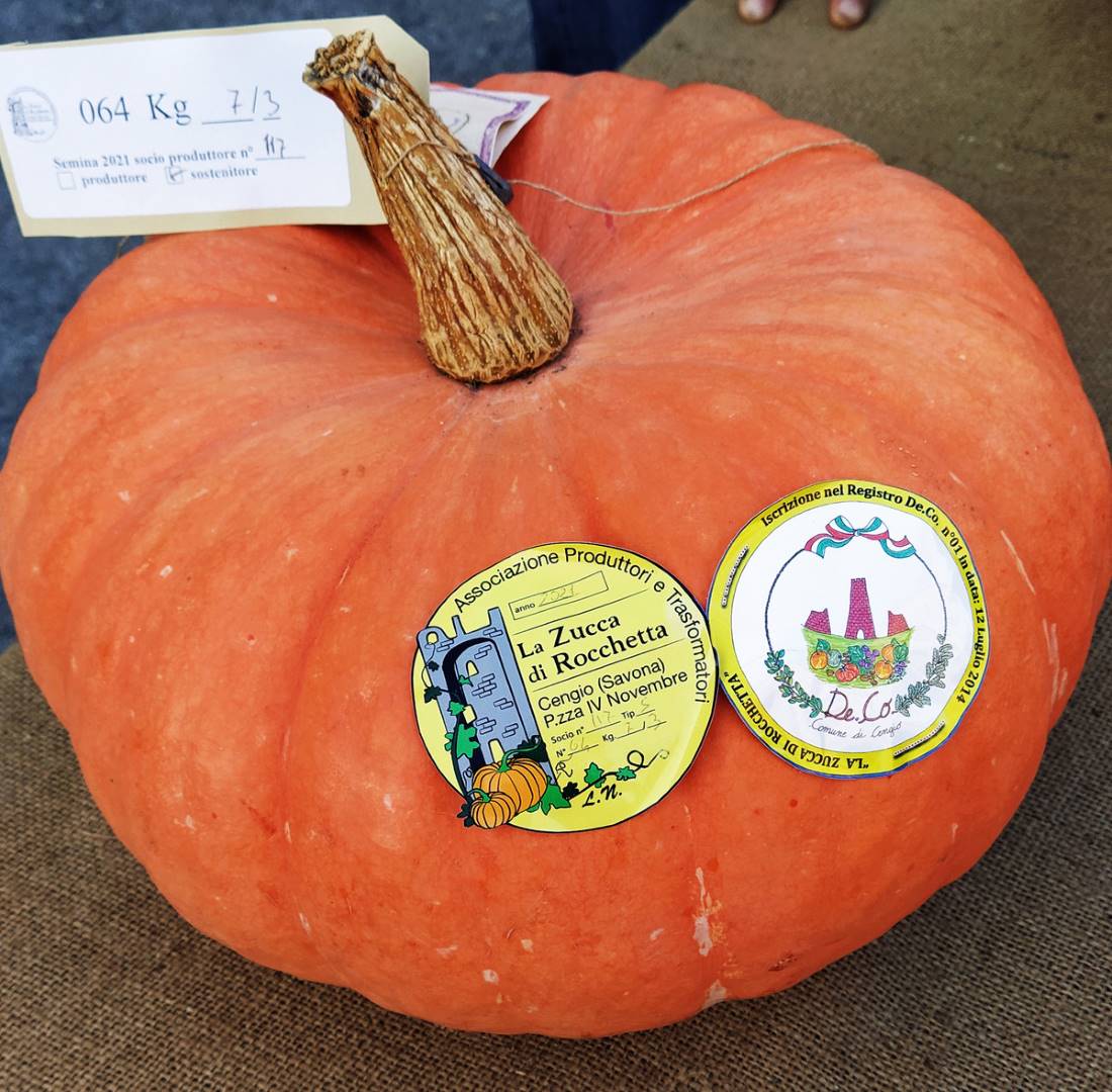 Zucca di Rocchetta di Cengio