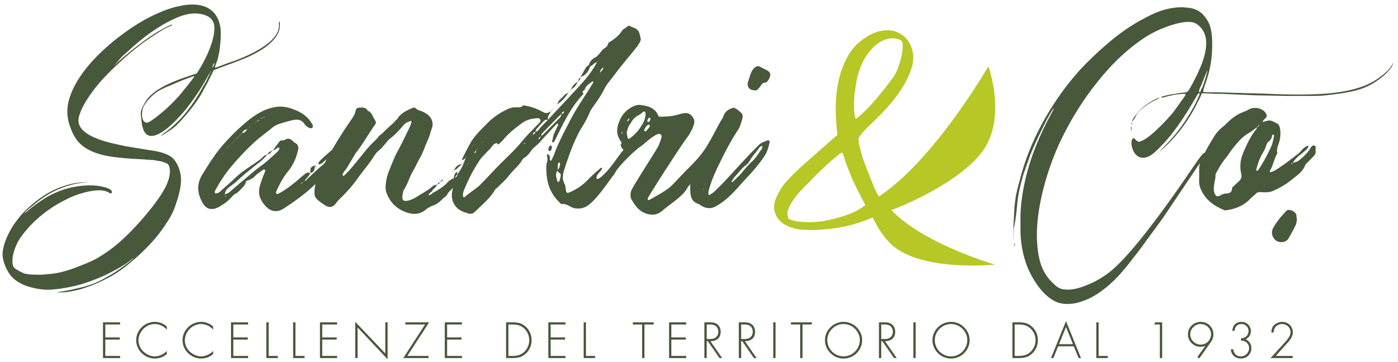 Logo Sandri e co.